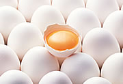 画像：卵の写真